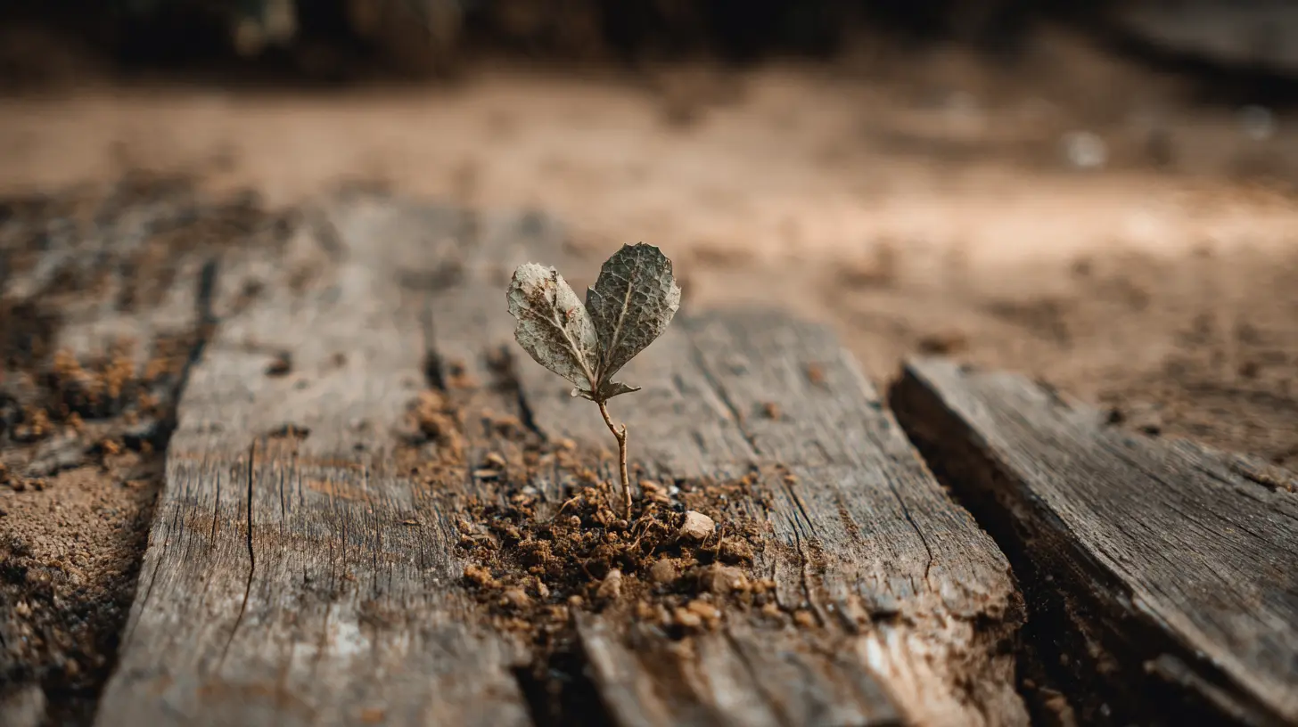 How to Grow Emotionally After a Breakup or Loss