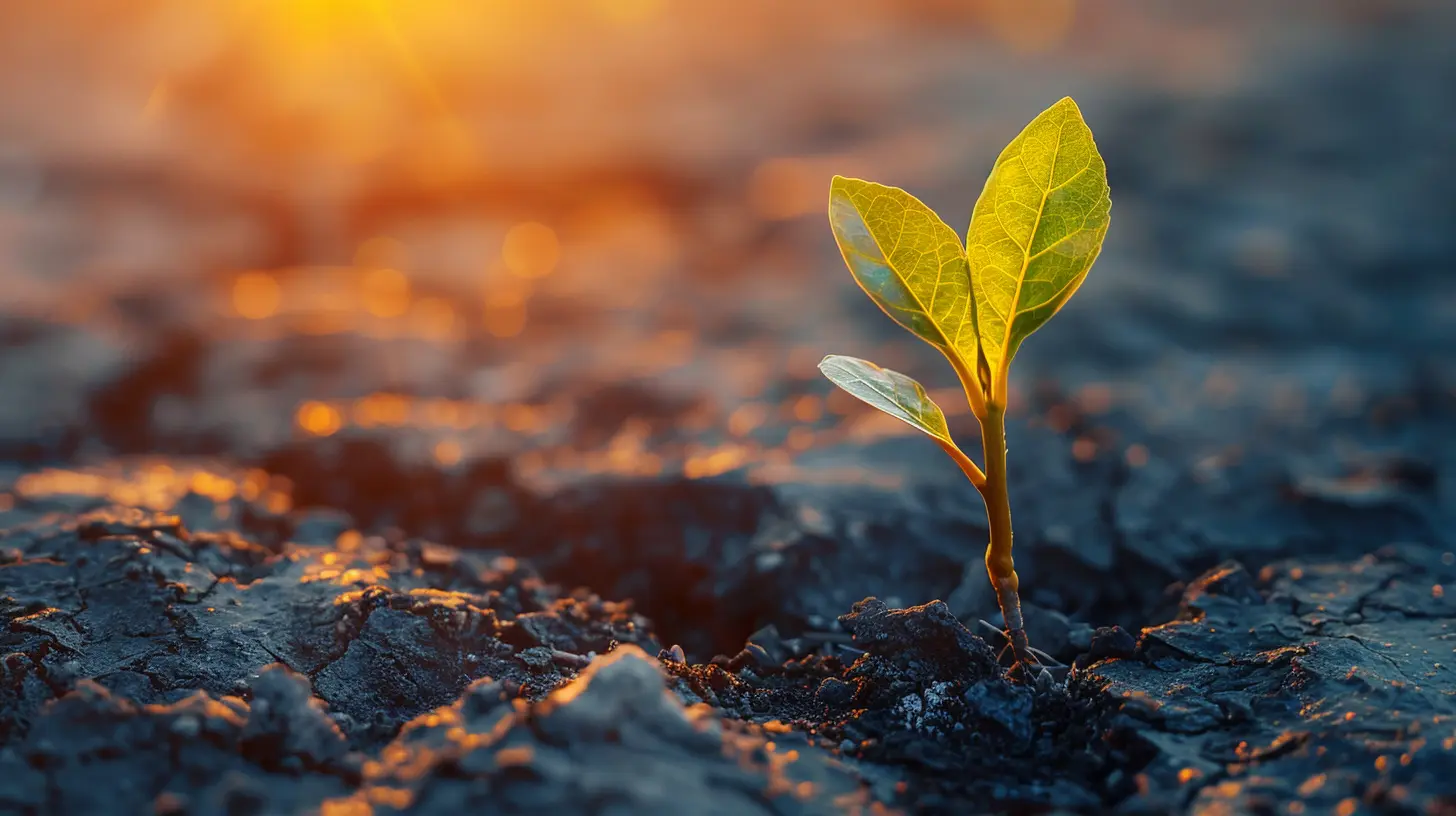 Resilience and the Growth Mindset: How to Thrive Through Setbacks