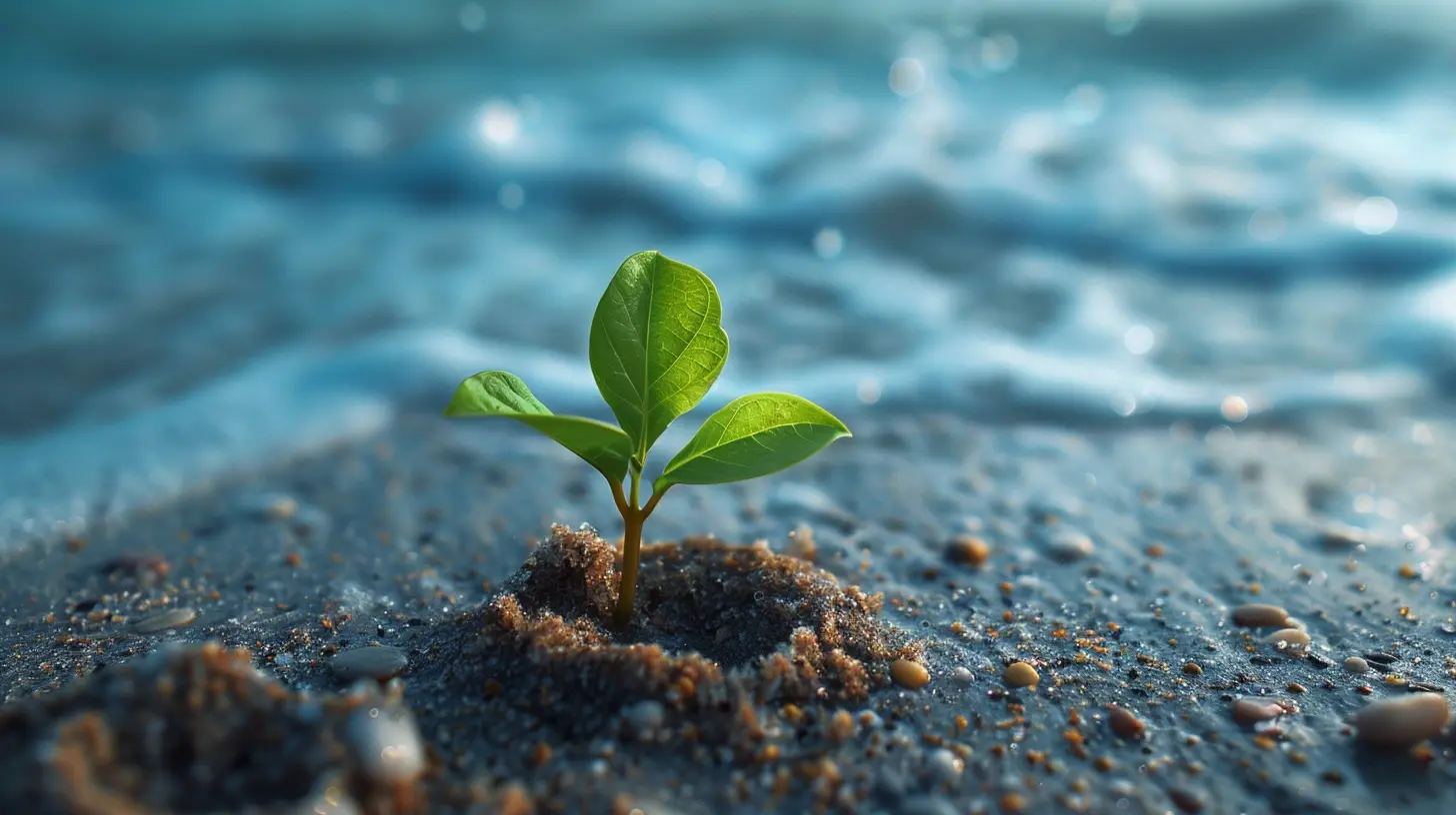 Resilience and the Growth Mindset: How to Thrive Through Setbacks