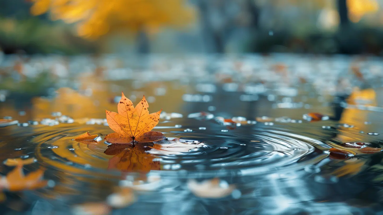 The Power of Mindfulness: Daily Practices for a Calmer Life