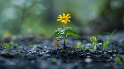 Emotional Growth Through Forgiveness: Letting Go for Good