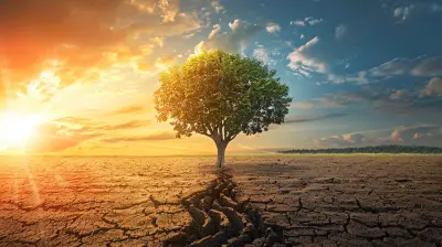 How Behavioral Science Can Help Combat Climate Change