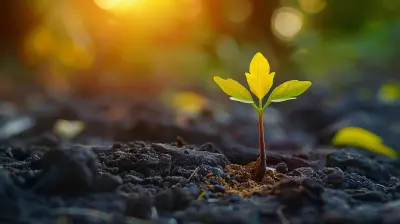 Resilience and the Growth Mindset: How to Thrive Through Setbacks