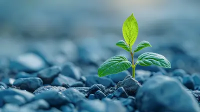 The Impact of Environment on Your Motivation Levels