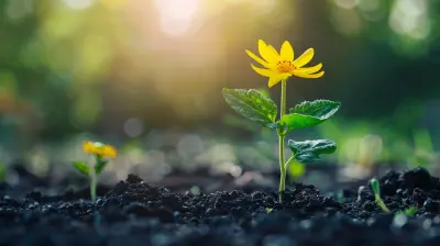 The Link Between Optimism and Resilience: How to Cultivate Both