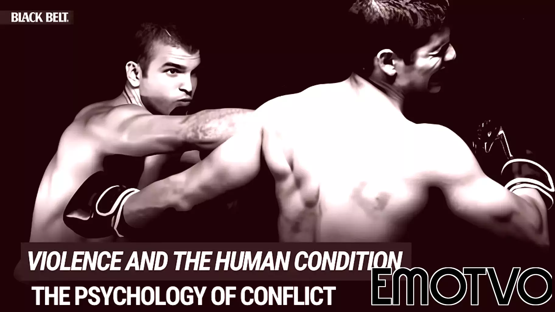 Beyond the Fight: Understanding the Psychology of Violence in Martial Arts