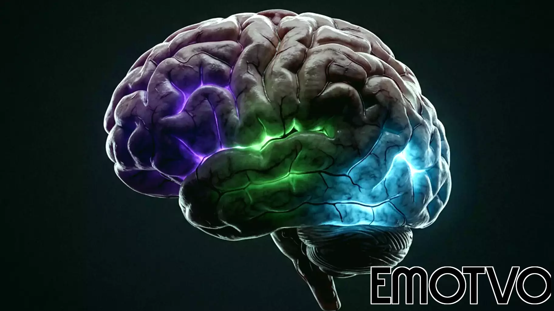 Dark triad personality traits carry distinct physical signatures in the brain
