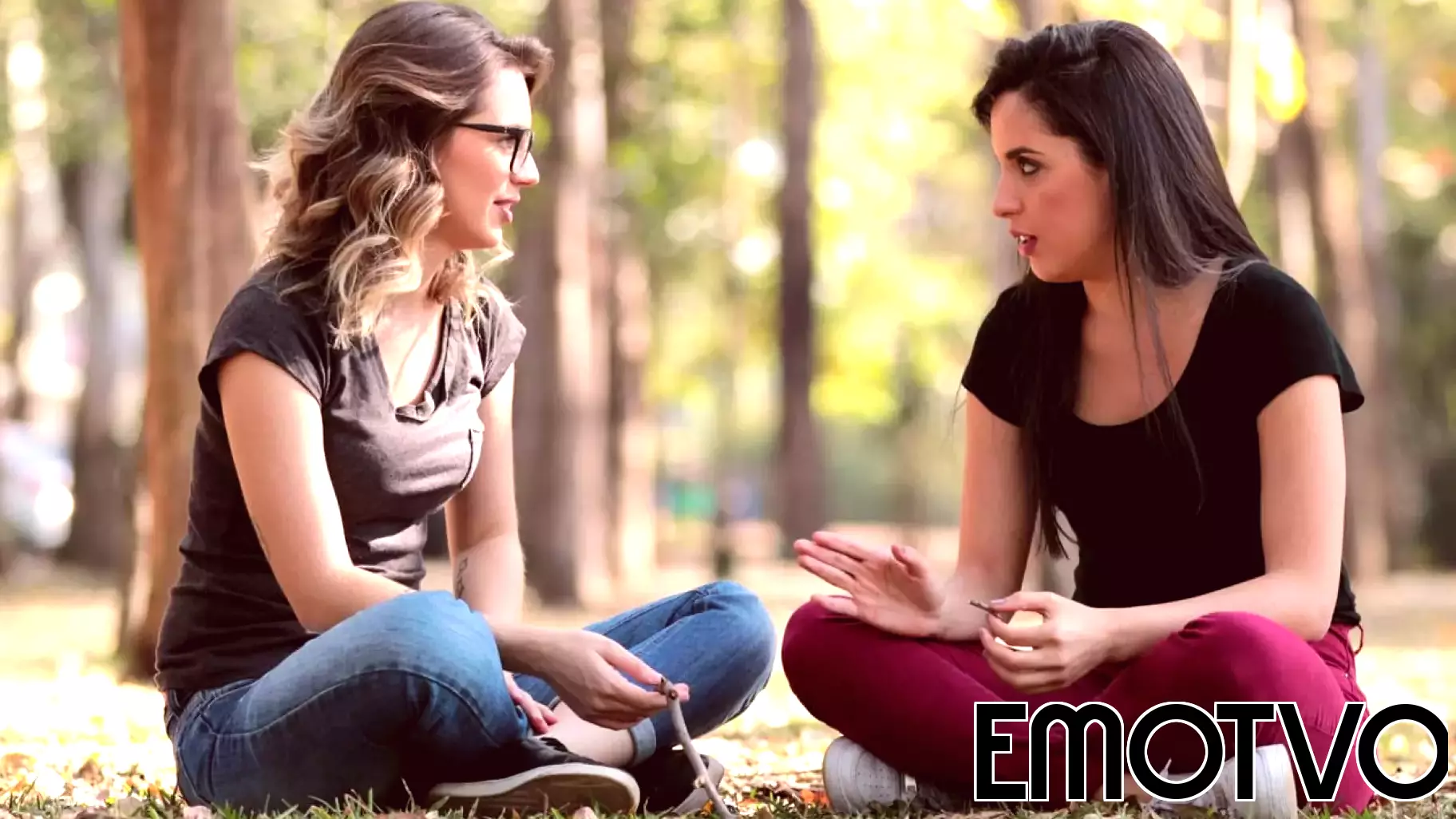 How to make friends: Scientists have uncovered some intriguing new details