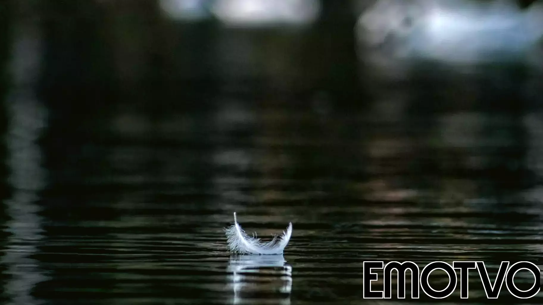 Insights from Two Decades of Executive Coaching