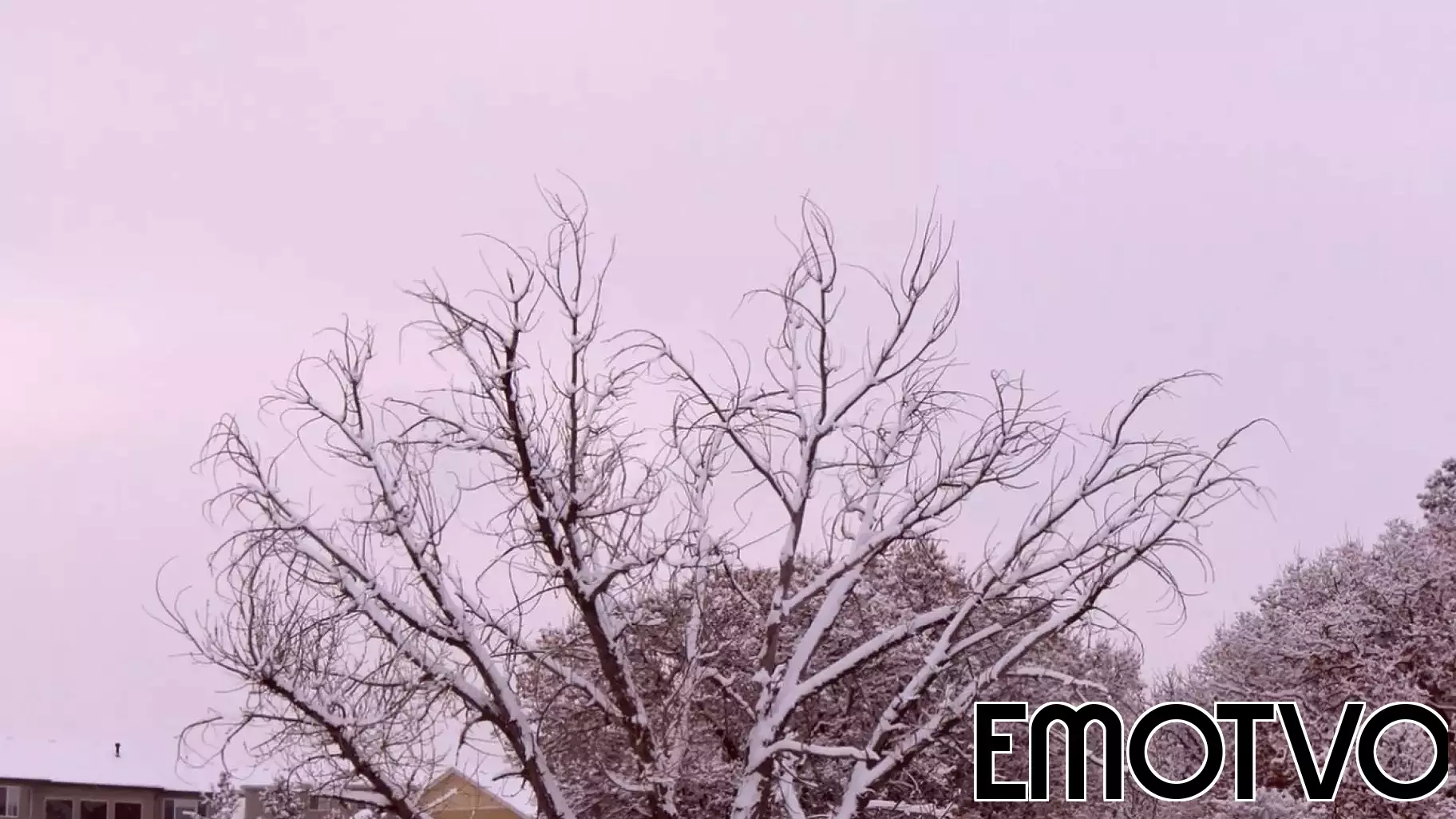 Navigating the Complexities of Grief