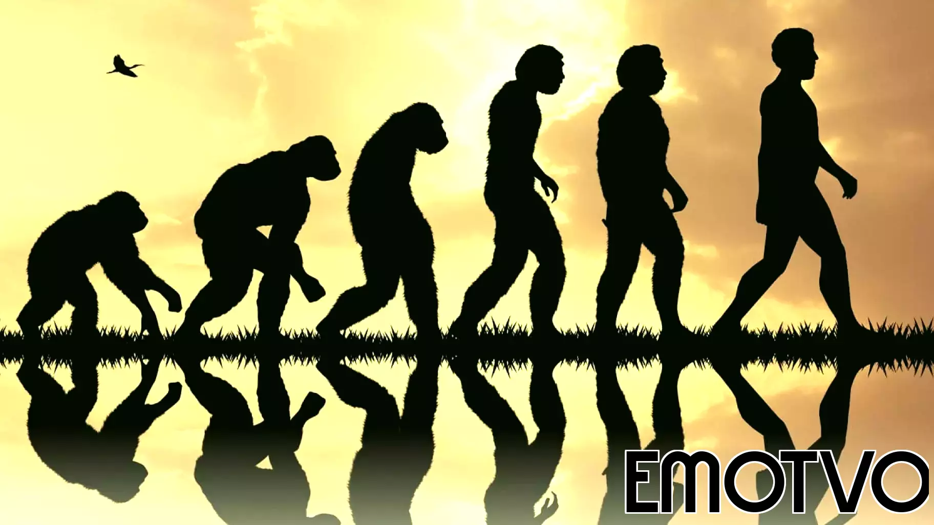 New Review Challenges the 