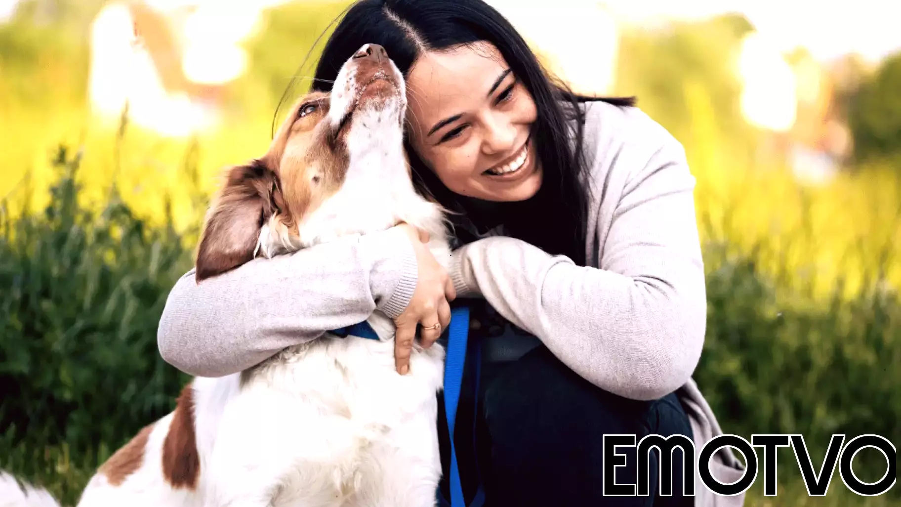 Psychology says people who prefer dogs over cats typically display these 8 distinct personality traits