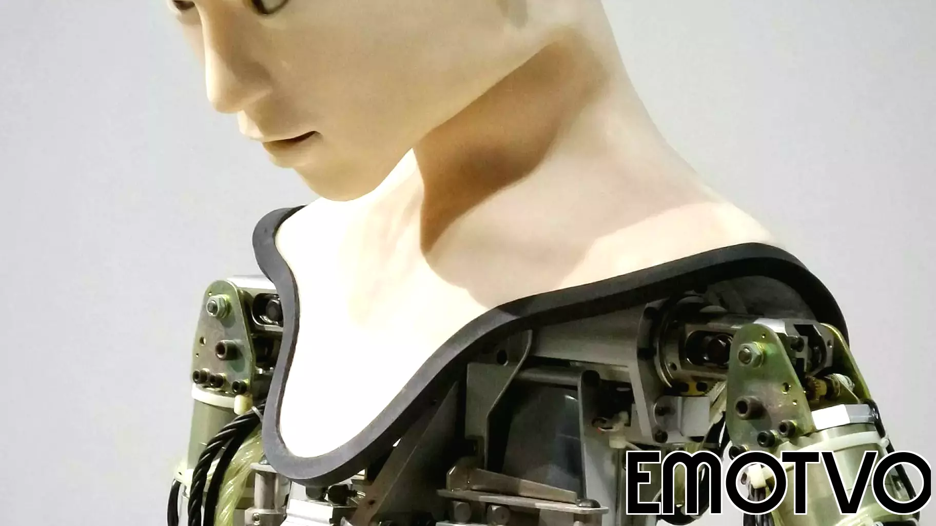 The Human Drive for Connection: Are We Being Experimented On?