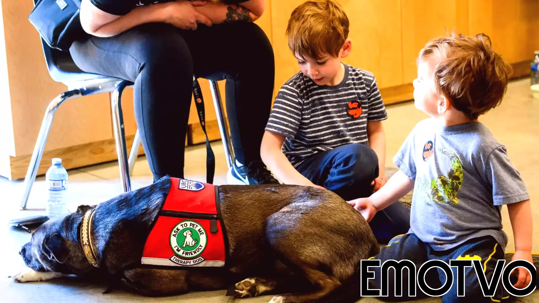 The Impact of Therapy Dogs on Joy in the Classroom