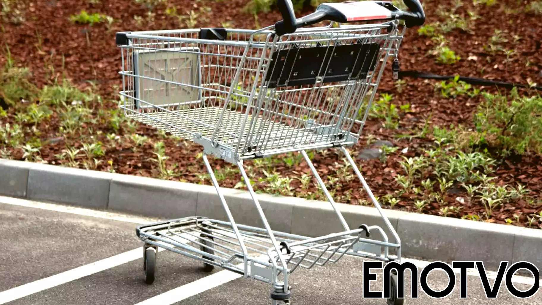 The internet treats returning your shopping cart as the ultimate test of character, but the psychology of small unwatched good deeds says they are driven far more by the situation than by who you are
