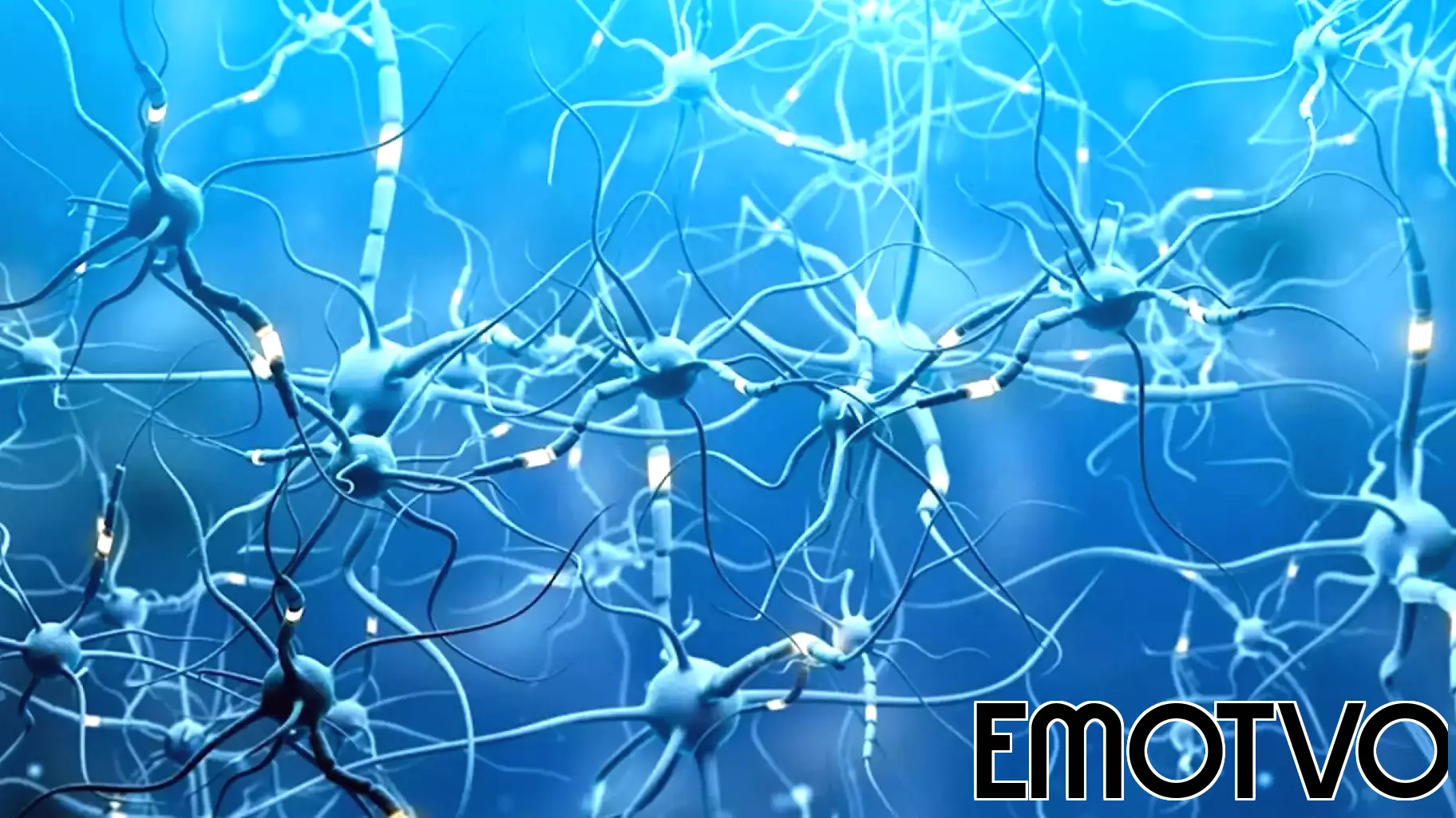 Where biology meets behavior