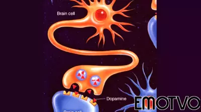 Biological Psychiatry and the Allure of the Simple