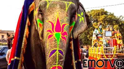 Exploring the Complex Dynamics of Human-Animal Relationships