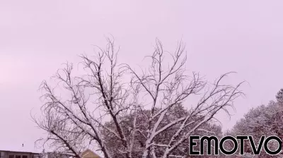 Navigating the Complexities of Grief