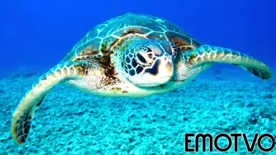 Unraveling the Psychology Behind Environmental Crimes