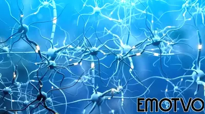 Where biology meets behavior