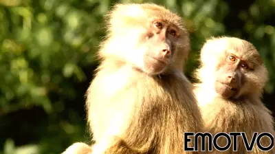 Why We Resist Uncertainty and How to Get Better at It